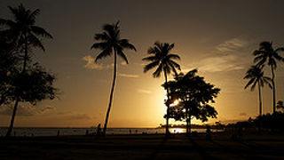 ピースなビーチパーク