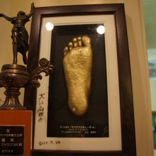 もやもやさま〜ずで出た大江アナの足型