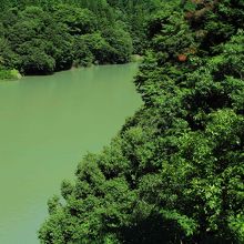 夏の陽・・・エメラルドグリーン