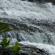 大きな自然の流れを感じます