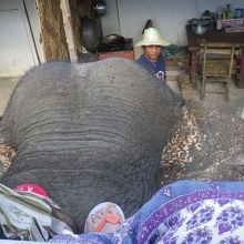 民家のホースで水あげたり、水浴びしてました・・・