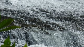 大きな自然の流れを感じます