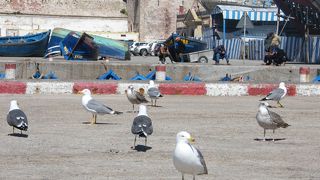 漁港にあるスカラからのながめは絶景