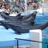 越前松島水族館