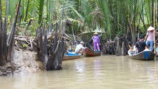 蛇の首巻きのおまけ付き