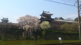 桜の名所のお城まつり