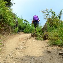 小仏峠からのハイキング道