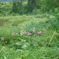 こんな景色が満喫できる。
