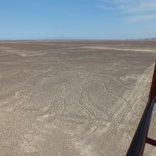 ミラドールから見た地上絵