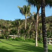 緩やかな斜面にビラやコンドミニアムが散在