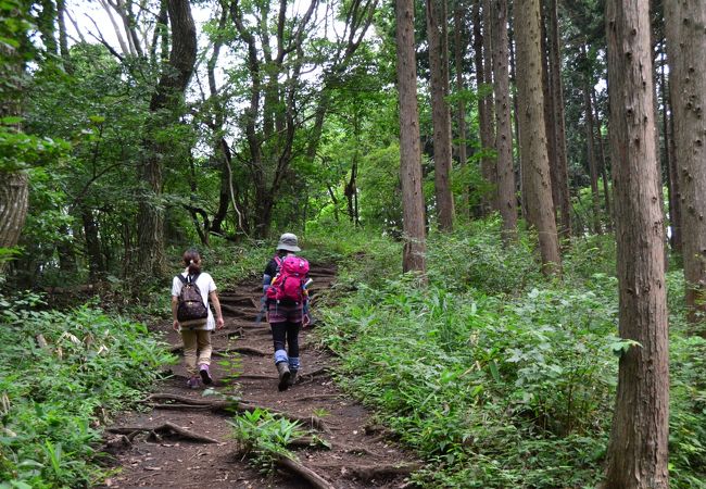 高尾山ハイキングコースは山ガールの聖地