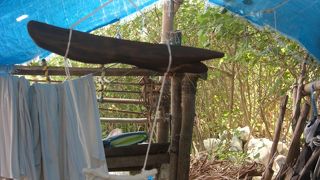 ものすごい魚影！