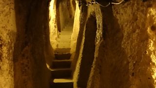 入口付近に素敵なオヤのお店がありました！