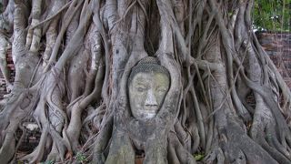アユタヤを象徴する遺跡