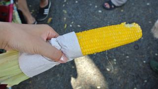 見て食べて楽しい