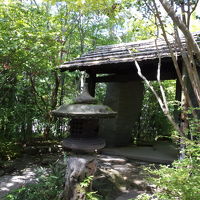 緑に覆われています。