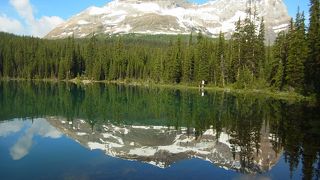 素晴らしい！！！