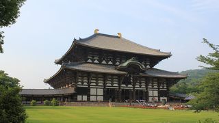 やはり大仏様は奈良観光の定番