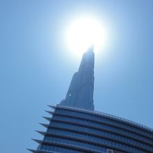 外から写真を撮るのは…暑かったです。