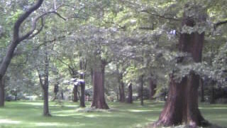場所によって雰囲気が変化する植物園