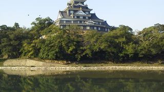 朝の散歩コース