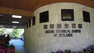 ゆっくりハイキング気分を味わえる