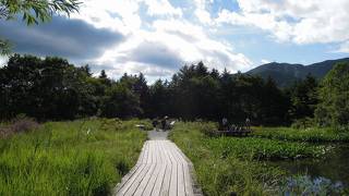 箱根湿生花園