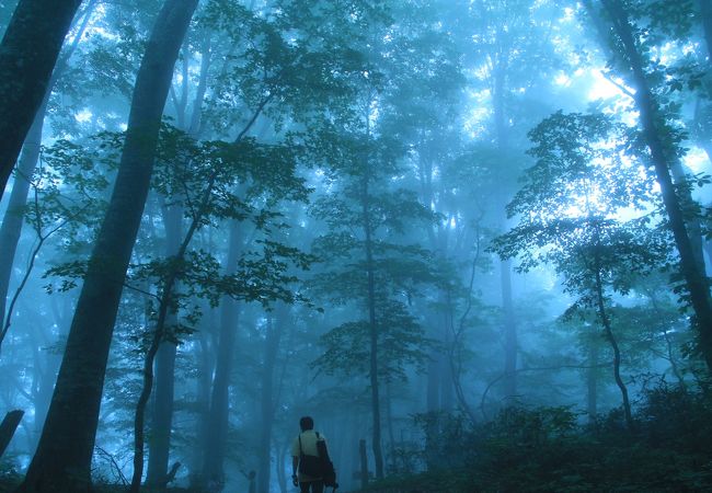 白神の森遊山道