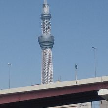 水上バスからスカイツリーをパチリ