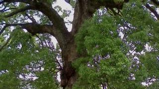 上った甲斐がある