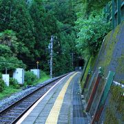 茶畑に囲まれた無人駅