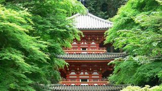 アジサイの名所、加茂の岩船寺（がんせんじ）