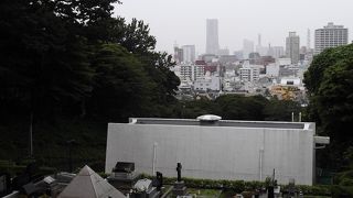 入場できる日に注意