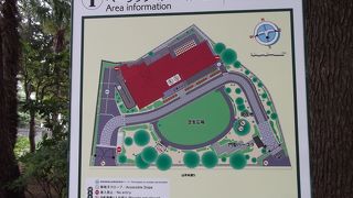 緑に囲まれた公園