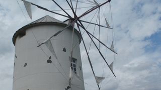 海とオリーブの木々を眺めながらのんびり散策できます