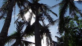 ドライブのついでに