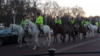 バッキンガム宮殿の朝、写真の様に警備隊が馬に乗ってバッキンガム宮殿を守ってます。