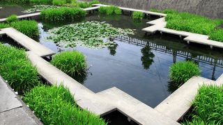 徒歩15分・・・癒しの溜池！！