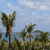 ベランダから朝の風景を撮りました。風がとても爽やかです^^