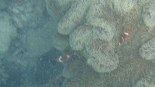 漂着ゴミが残念