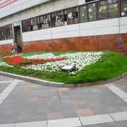 明石駅では、花壇が有名です。