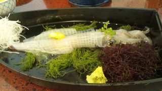 イカを食べるなら、河太郎ですよね～