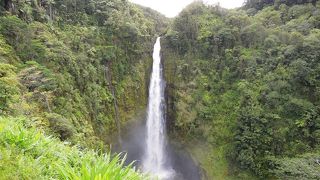 ちょっとしたハイキングコース