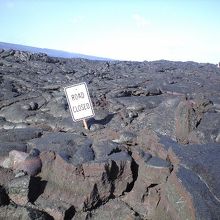 ７年前は道路でしたが