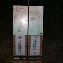 むかえばコースにトライした