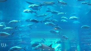 街歩きに疲れたときに