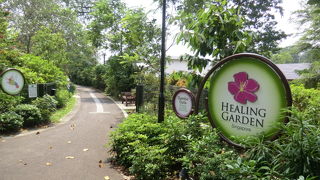 シンガポールで植物を見たいならここ！