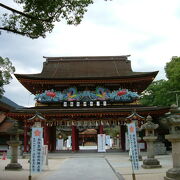 本殿の前には白い梅。京都から菅公を慕って飛んできたと言う「飛梅」もあります