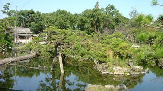 祭神として立花道雪ほか