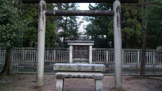 オペラグラスをお勧めします